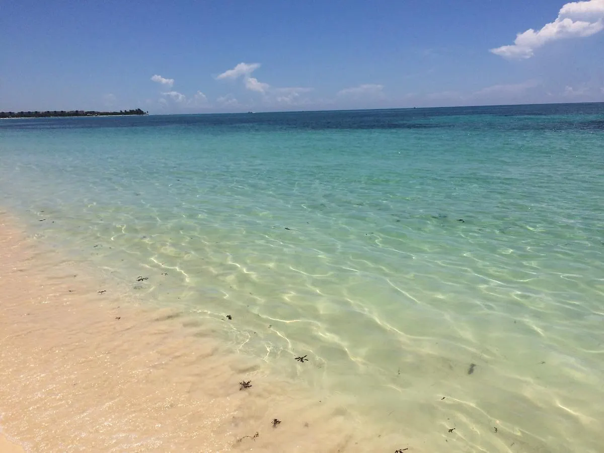 Casa Amor Hotel Playa del Carmen