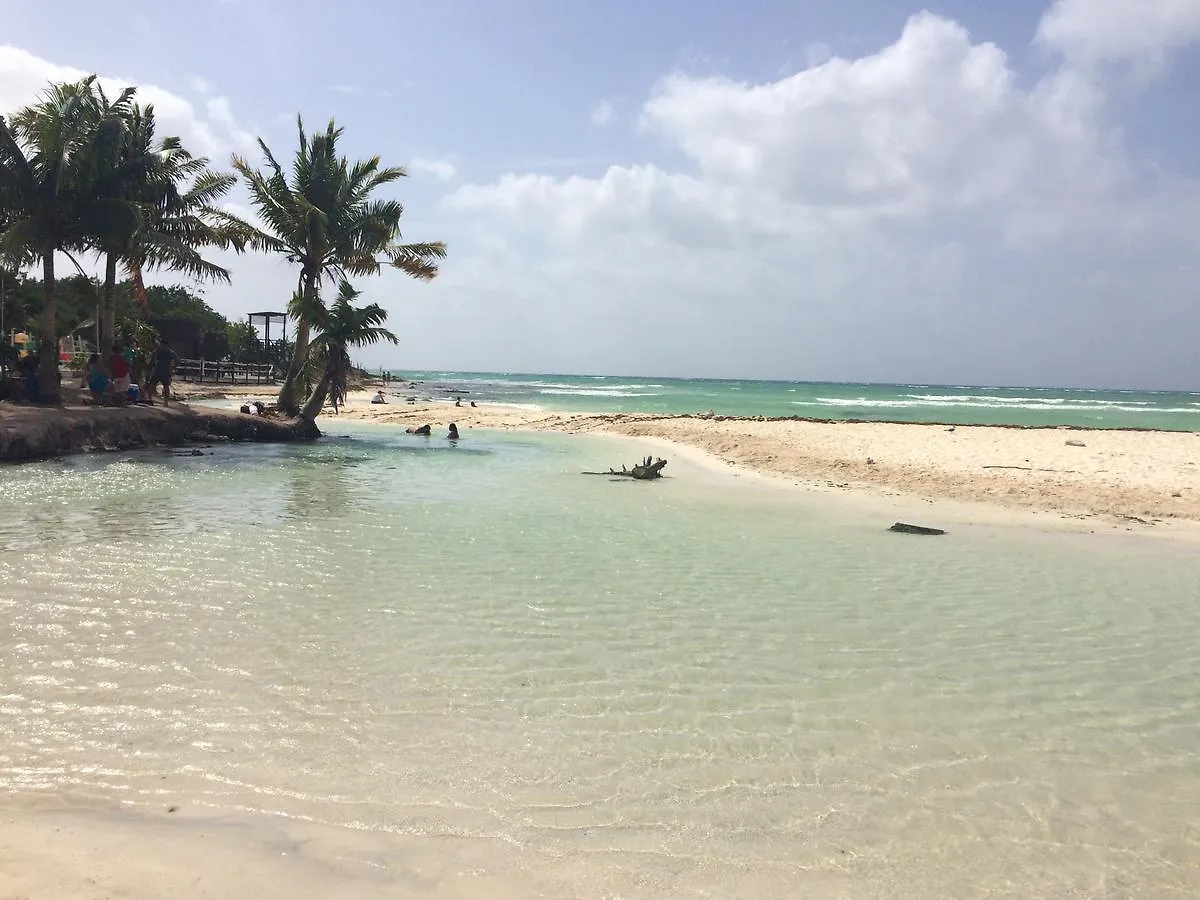 Casa Amor Hotel Playa del Carmen Guest house